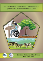 Grade 5 Teachers Guide.pdf